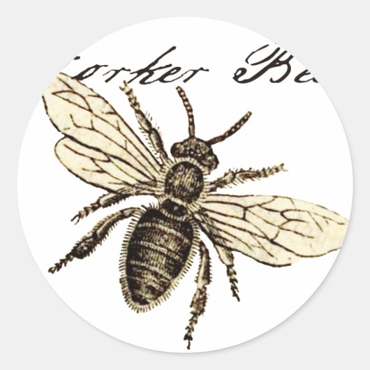  Werkster Bijen Insect Illustratie Antiek Ronde Sticker (Voorkant)