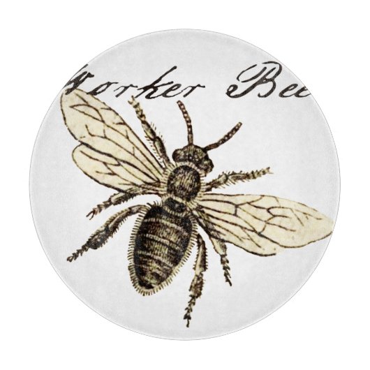 Werkster Bijen Insect Illustratie Antiek Snijplank (Voorkant)