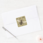  Werkster Bijen Insect Illustratie Antiek Vierkante Sticker (Envelop)