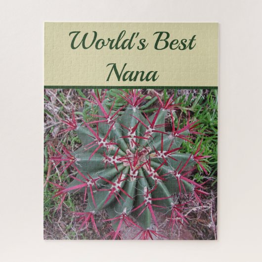 Werkt beste Nana-woestijn Plant Red Barrel Cactus Legpuzzel (Verticaal)