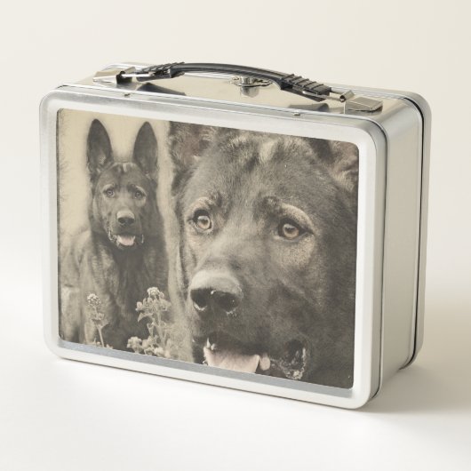 Werkzame Duitse Shepherd Dog - GSD (Achterkant)