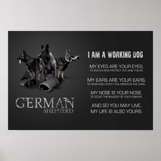 Werkzame Duitse Shepherd Dog - GSD Poster (Voorkant)