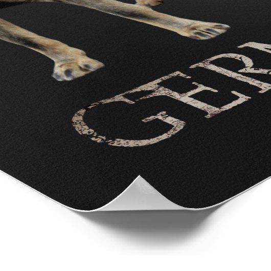 Werkzame Duitse Shepherd Dog - GSD Poster (Hoek)