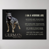 Werkzame Duitse Shepherd Dog - GSD Poster (Voorkant)