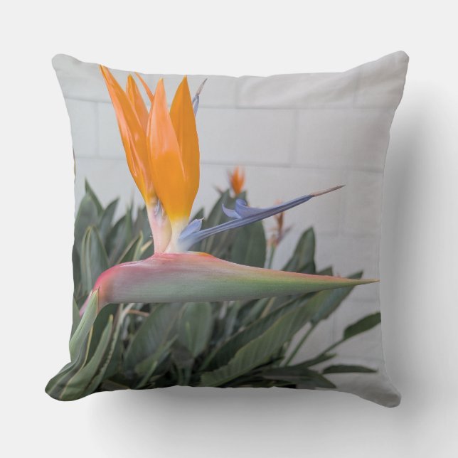 Werp kussen-Bloemenserie vogel van paradijs-Werp Kussen (Voorkant)