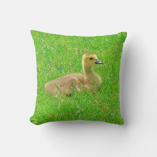 Werp kussen Canada Goose (Voorkant)
