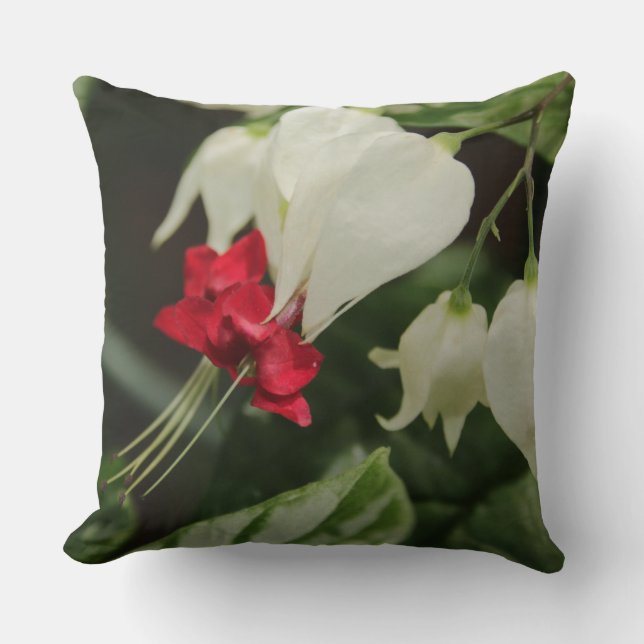 Werp kussen Helderrood witte tropische bloem (Voorkant)