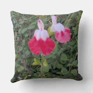 Werpkussen-Bloemenserie -Hot Lips salvia Kussen