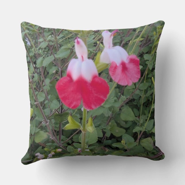 Werpkussen-Bloemenserie -Hot Lips salvia Kussen (Achterkant)