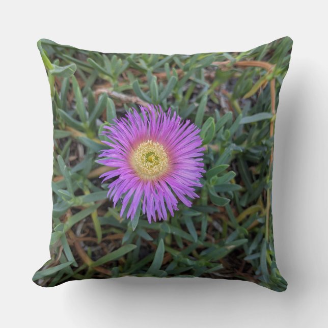 Werpkussen - Bloemserie Iceplant Bloem-  Kussen (Voorkant)