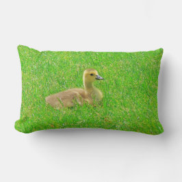 Werpkussen Canada Goose Kussen
