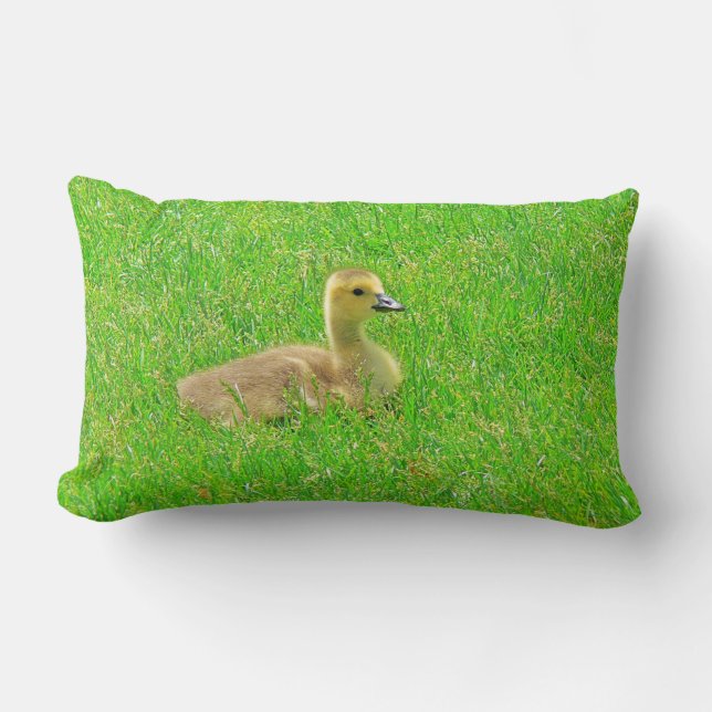 Werpkussen   Canada Goose Kussen (Voorkant)