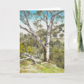 Werribee River Gum - Bedankkaart (Voorkant)