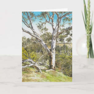 Werribee River Gum - Bedankkaart