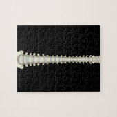 wervelkolom 2 legpuzzel (Horizontaal)