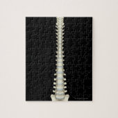 wervelkolom 2 legpuzzel (Verticaal)