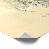  wervelkolom, anatomisch lumbaal poster (Hoek)