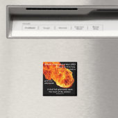 Wervelwind van de Heer - Magneet (Insitu (Vaatwasser))