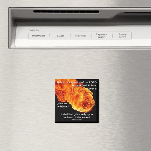 Wervelwind van de Heer - Magneet (Insitu (Vaatwasser))