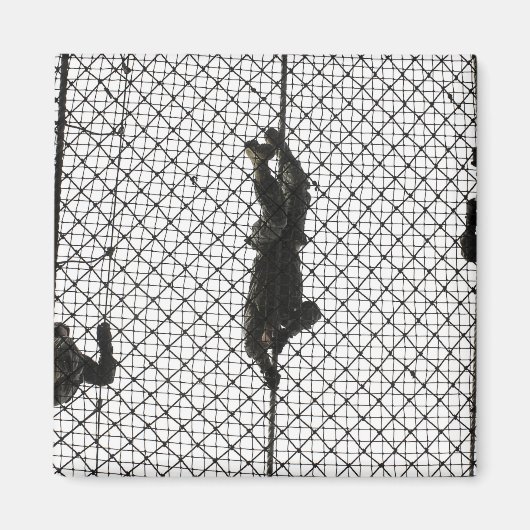 werven die een obstakel voltooien magneet (Voorkant)