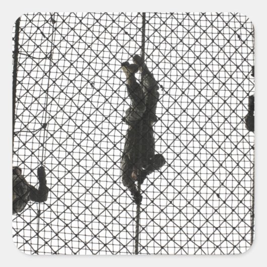 werven die een obstakel voltooien vierkante sticker (Voorkant)