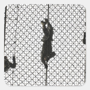 werven die een obstakel voltooien vierkante sticker