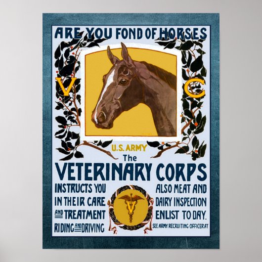 werving WW1 Veterinair Korps Poster (Voorkant)