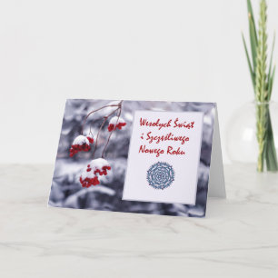 Wesolych Swiat, Vrolijke Kerstmis in Pools, de Feestdagen Kaart