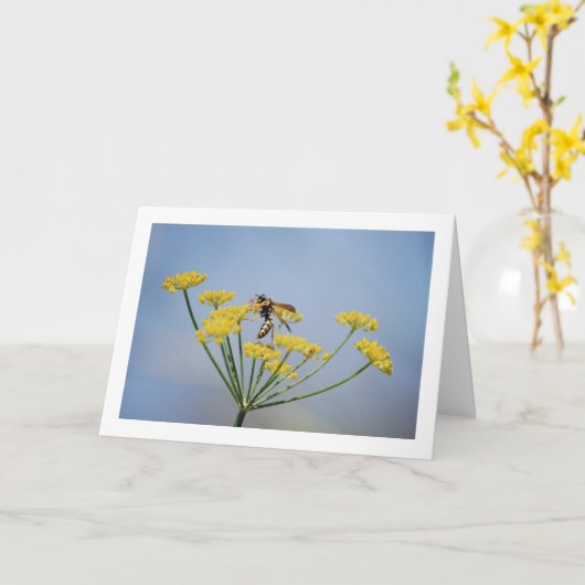 Wesp bestuiven wild venkel portret kaart (Gele Bloem)