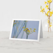 Wesp bestuiven wilde venkel kaart (Gele Bloem)