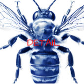 Wesp faux cyanotype - tegeltje