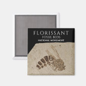 Wesp Fossiel Florissant Fossiel Beds Nationaal Mon Magneet (Voorkant / Achterkant)