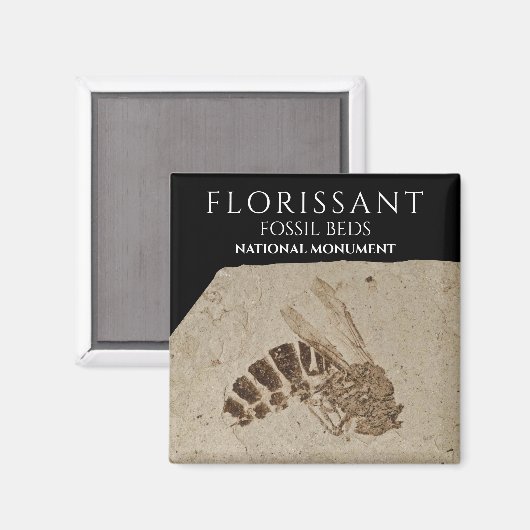 Wesp Fossiel Florissant Fossiel Beds Nationaal Mon Magneet (Voorkant / Achterkant)