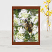 Wesp op de Munt van de Berg in Kaart van de Nota (Gele Bloem)