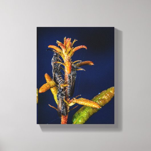 Wespen op Eik Canvas Afdruk (Voorkant)