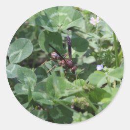 Wespstickers Ronde Sticker