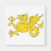 Wessex Dragon Magneet (Voorkant)