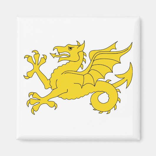 Wessex Dragon Magneet (Voorkant)