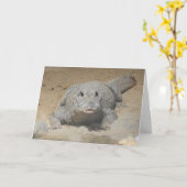 "West African Dwarf Crocodile" Birthday Kaart (Gele Bloem)