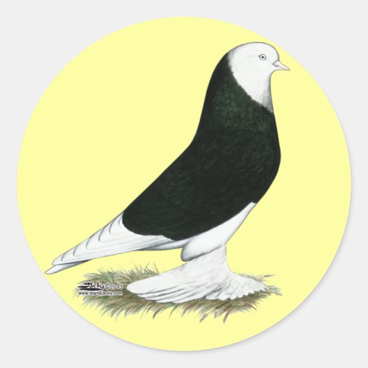 West Black Bald Pigeon Ronde Sticker (Voorkant)