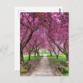 West Chester Everhart Park Post Card Briefkaart (Voorkant / Achterkant)