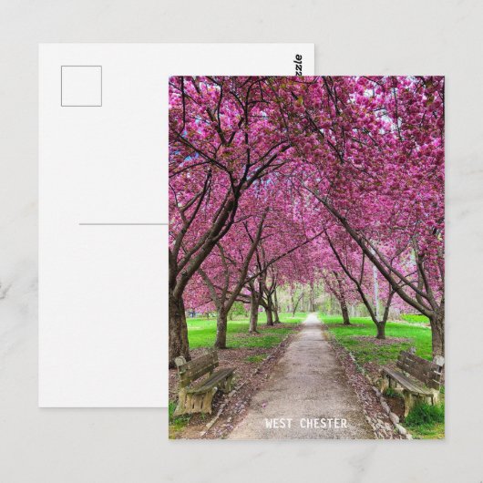 West Chester Everhart Park Post Card Briefkaart (Voorkant / Achterkant)