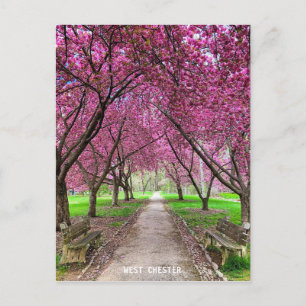 West Chester Everhart Park Post Card Briefkaart