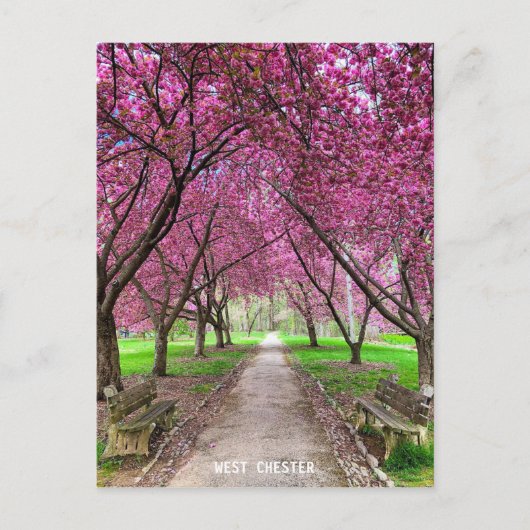 West Chester Everhart Park Post Card Briefkaart (Voorkant)