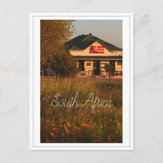 West Coast Aurora Zuid-Afrika Wilde Bloemen Briefkaart (Voorkant)