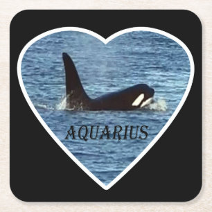 West Coast Killer Whale "Aquarius" Orca Coaster Kartonnen Onderzetters
