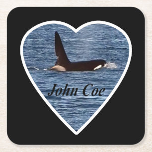West Coast Killer Whale "John Coe" Orca Coaster Kartonnen Onderzetters