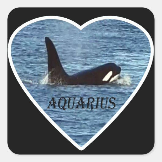 West Coast orka "Aquarius" orka Vierkante Sticker (Voorkant)