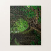 West Coast Rainforest | Trail San Juan Fuca Legpuzzel (Verticaal)