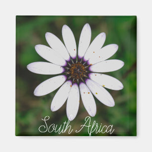 West Coast South Africa Wilde Flower ZA Magneet